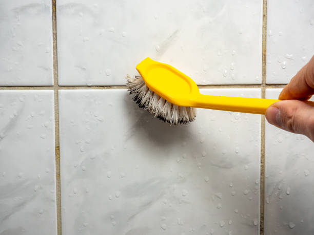  Duarte, CA Mold Removal Pros