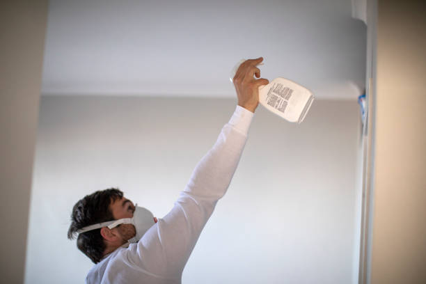 Home Mold Removal in Duarte, CA